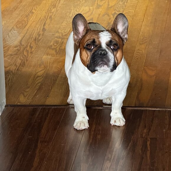 Meet your Posher, Angella - Picture 10 of 15